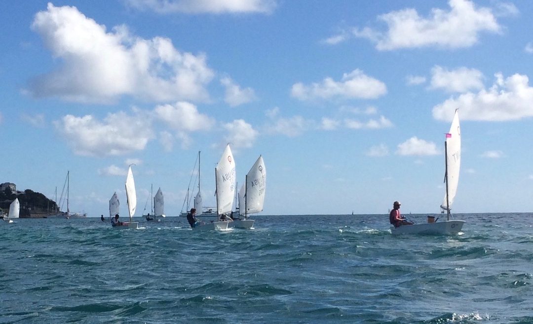 Optimist and Laser Open Race Results for 2019