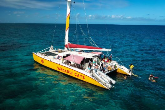 Get close to all the action with Wadadli Cats’ Official Spectator Boat!